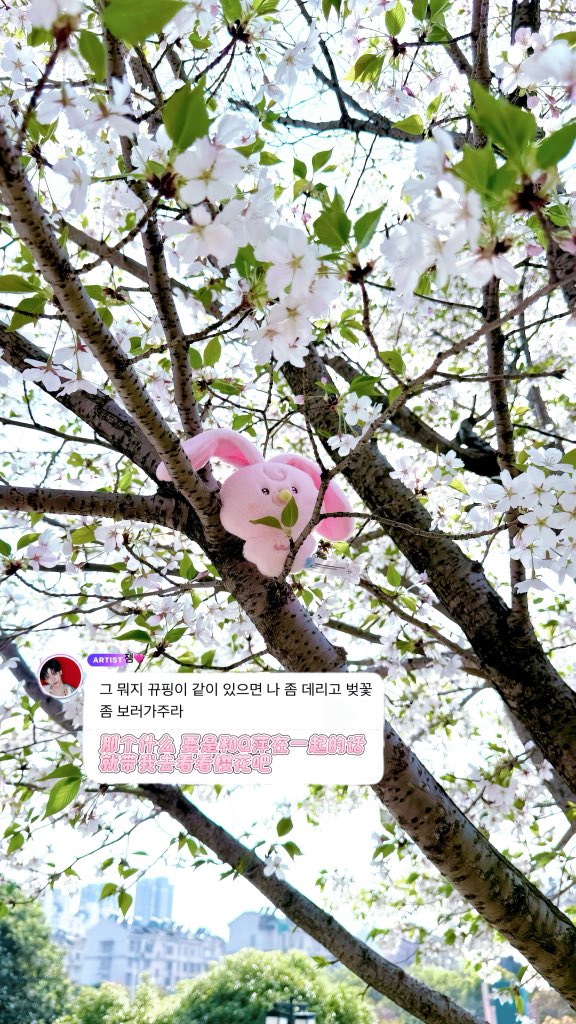 dayueyuezzzz tweet media