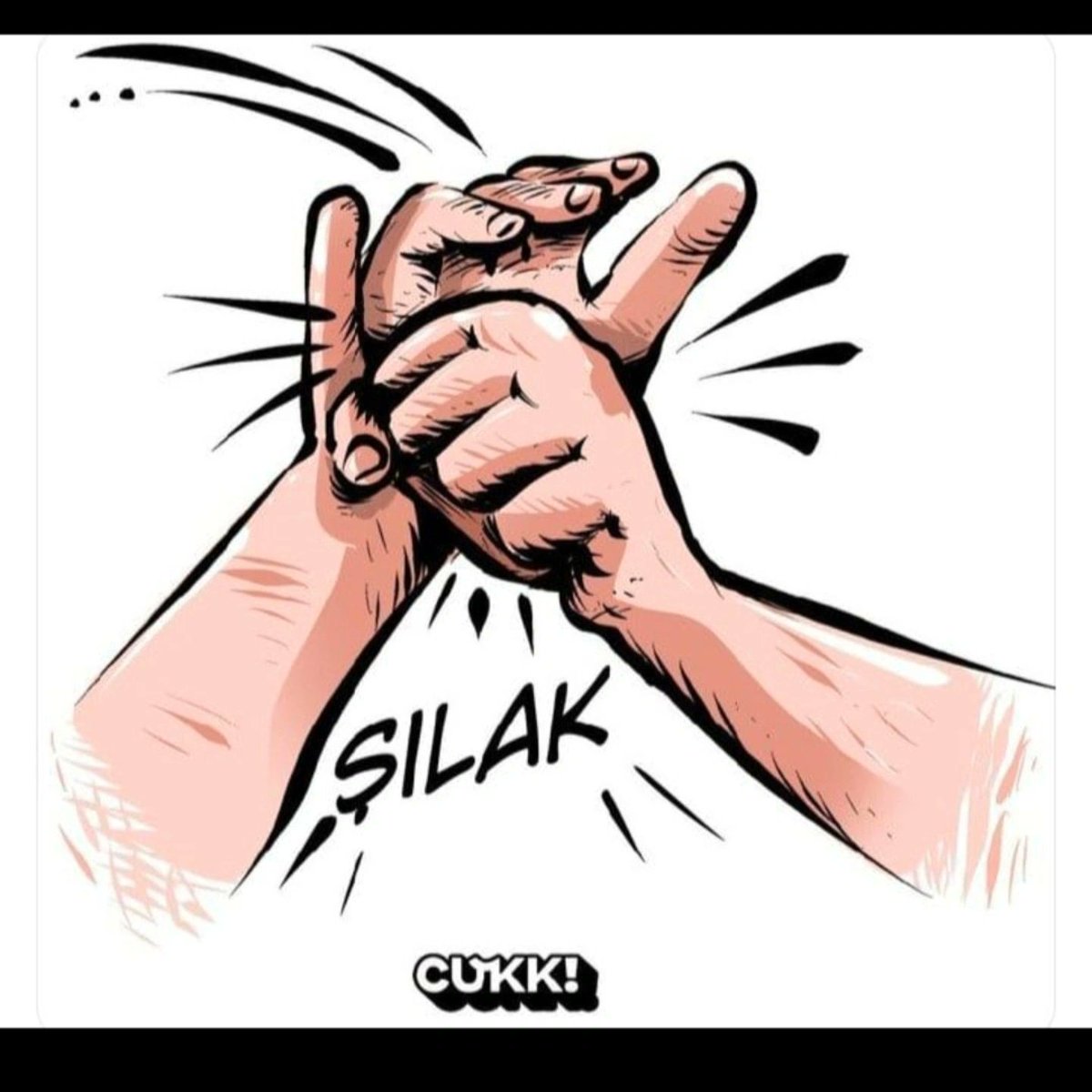 🇹🇷 TÜRKİYE CUMHURİYETİ DEVLETİ 🇹🇷 tweet media