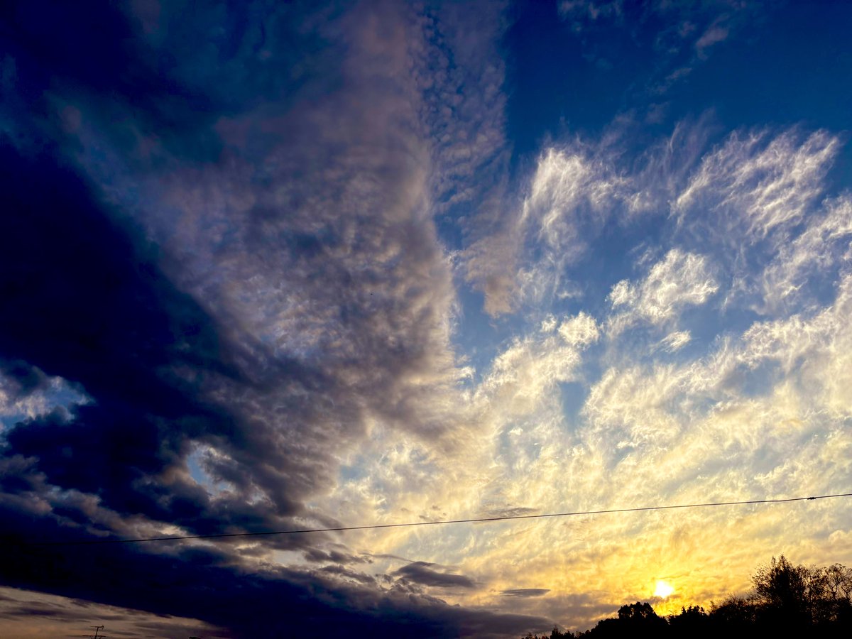 ユリイカ tweet media