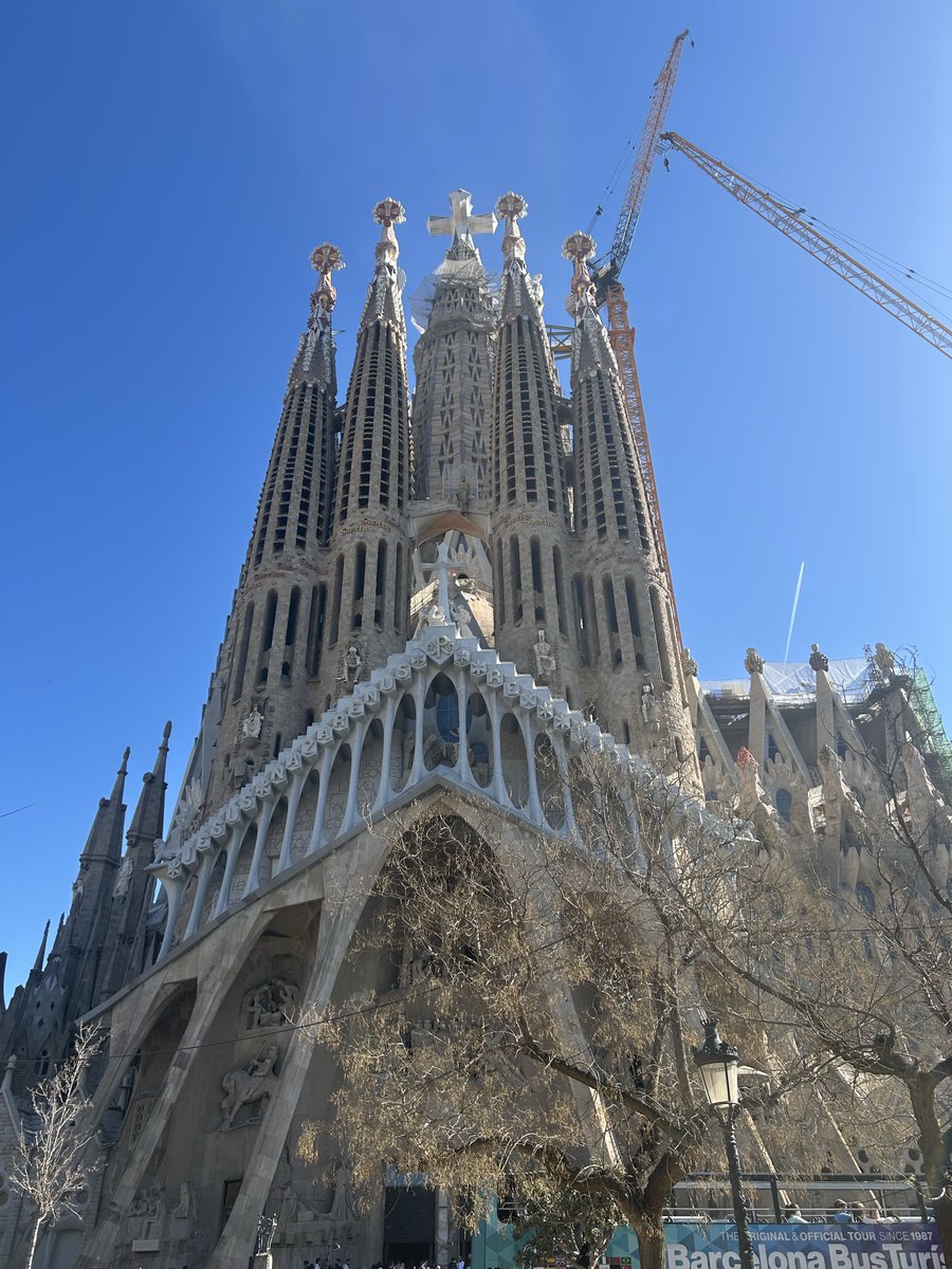 Hiba 🌸 tweet media