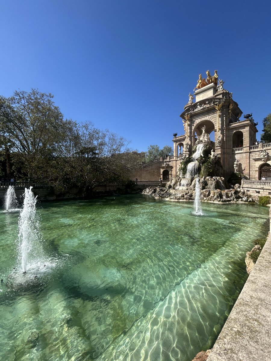 Hiba 🌸 tweet media