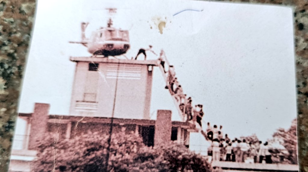 ﾌﾟﾛﾚﾀﾘｬ*ﾌﾞﾙｼｯﾄｼﾞｮﾌﾞ tweet media