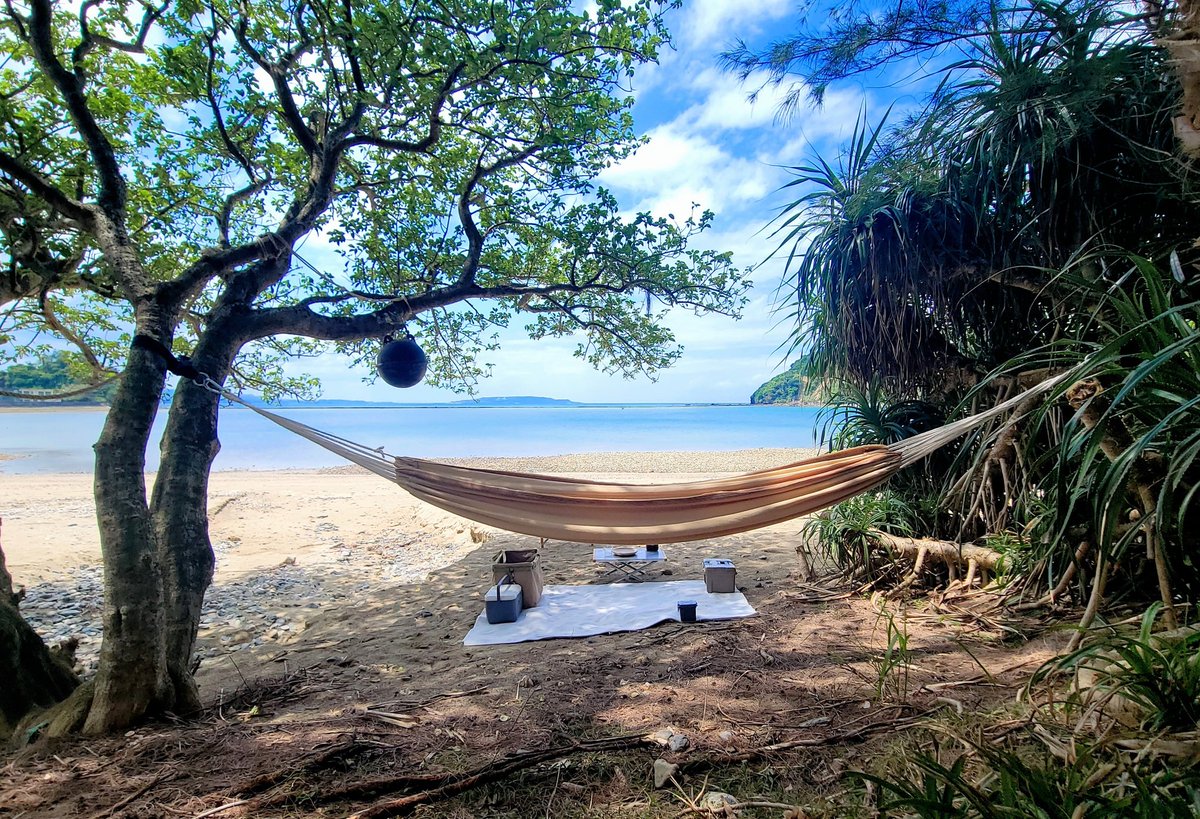 まーぶーキャンプ tweet media