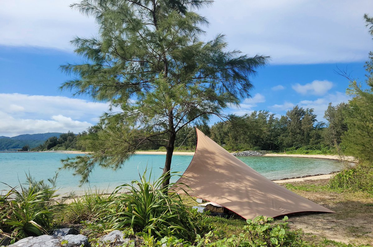 まーぶーキャンプ tweet media