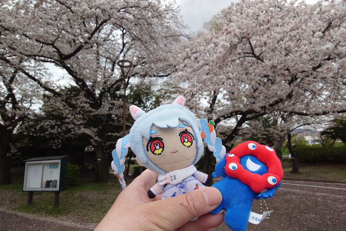 緑の快速cosplay tweet media