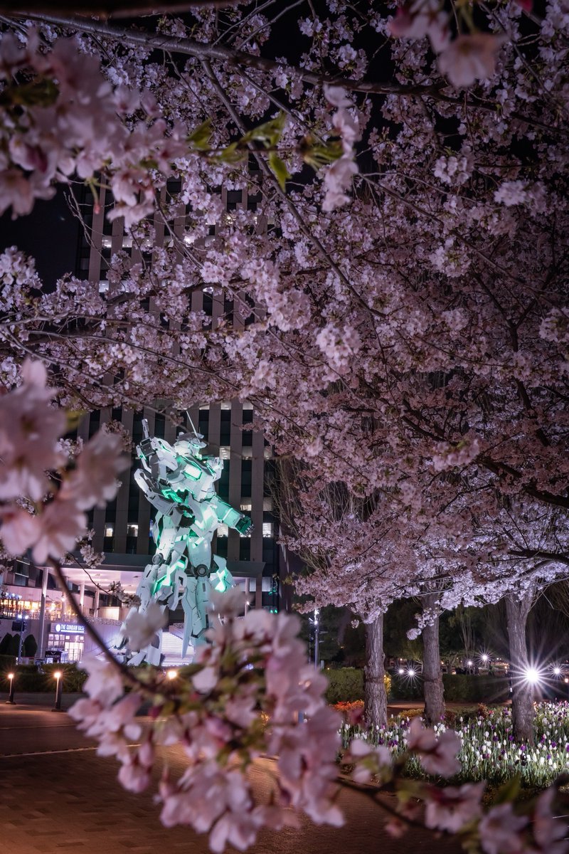 𝑇𝑎𝑘𝑢 tweet media