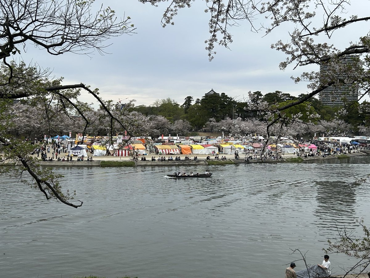 SASUKE@電撃蜜柑🍊 tweet media