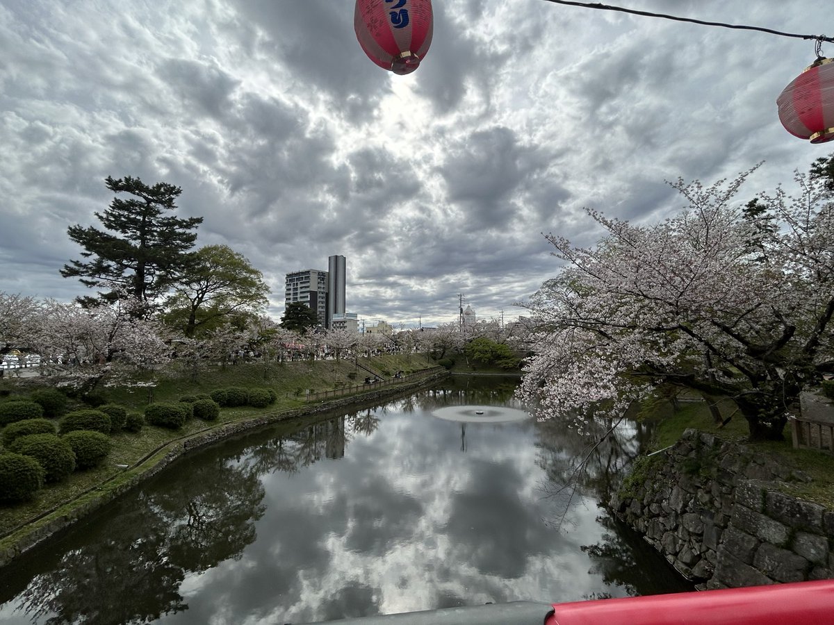 SASUKE@電撃蜜柑🍊 tweet media