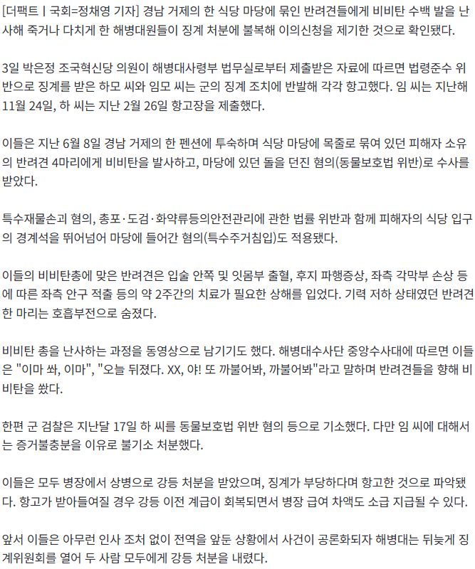 '반려견 비비탄 난사' 해병대원, 강등 징계 불복 항고