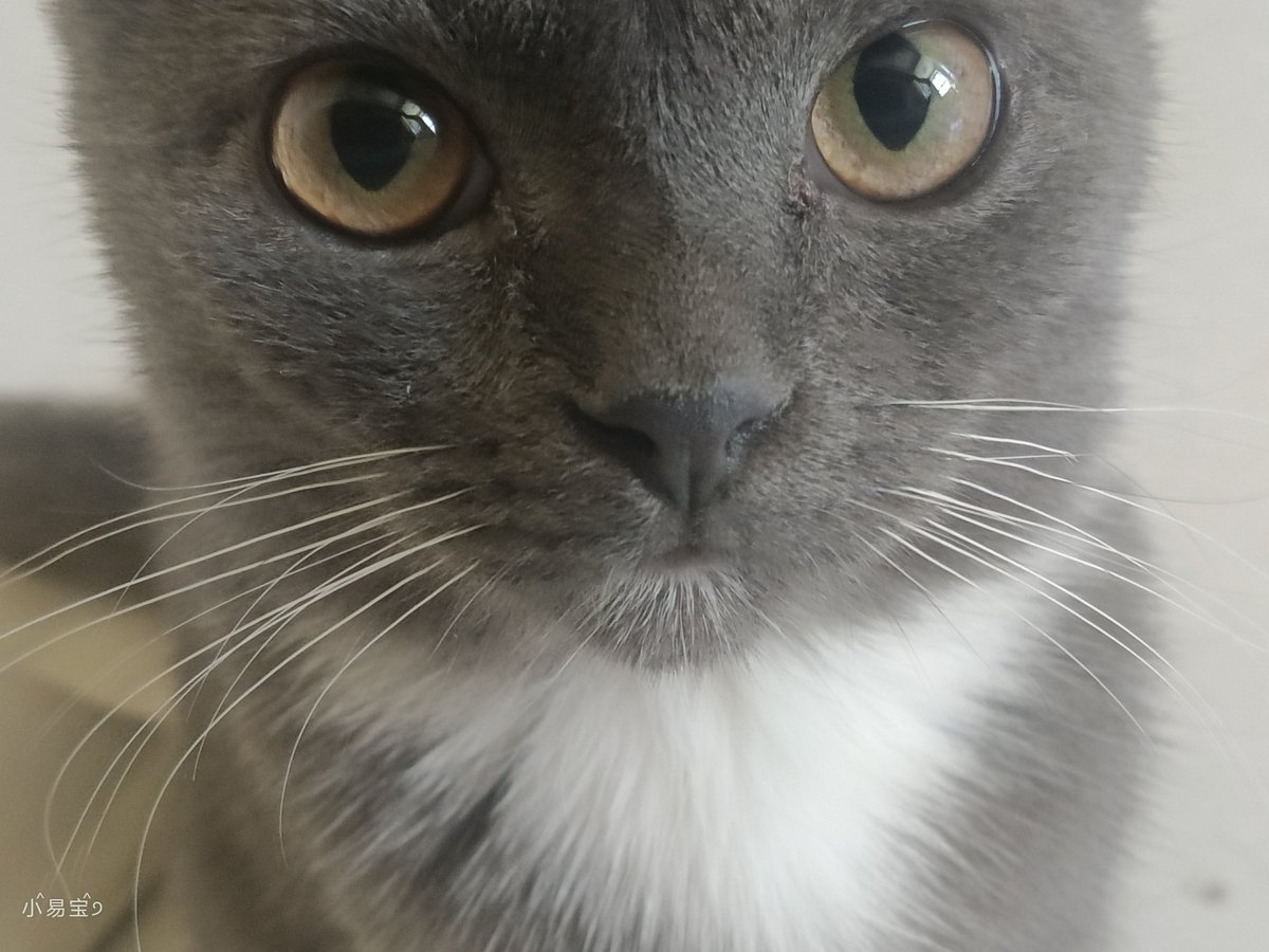 又幸福了易. tweet media