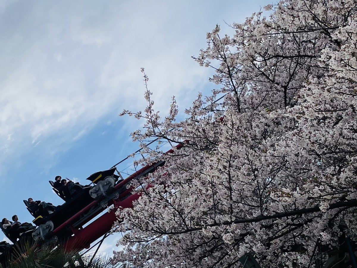 TAKAOGA🎢 tweet media