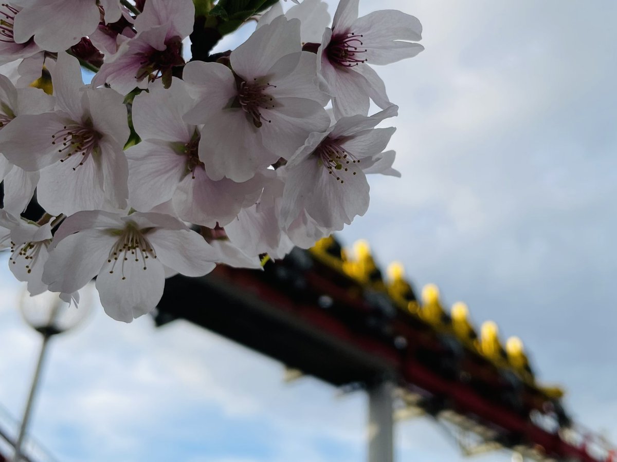 TAKAOGA🎢 tweet media