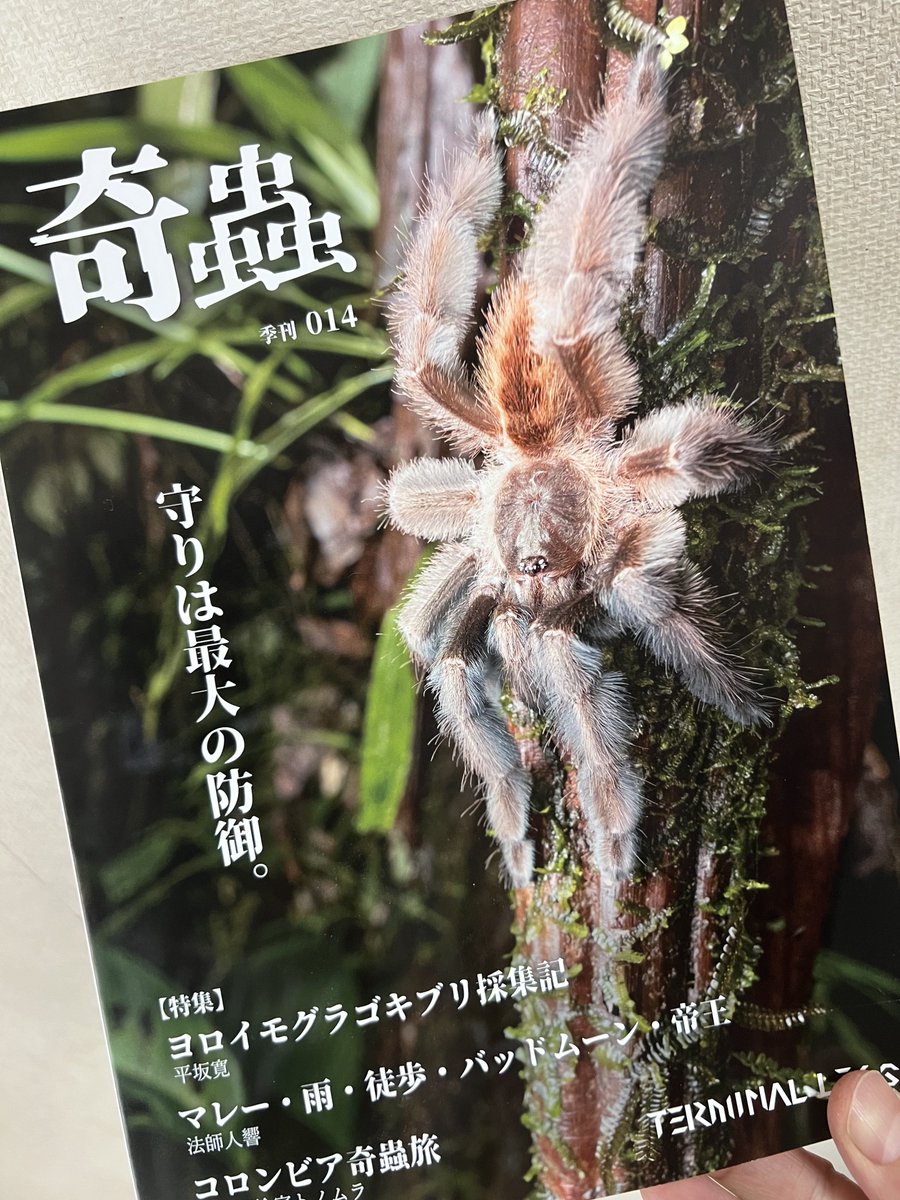 芋ジャージ tweet media