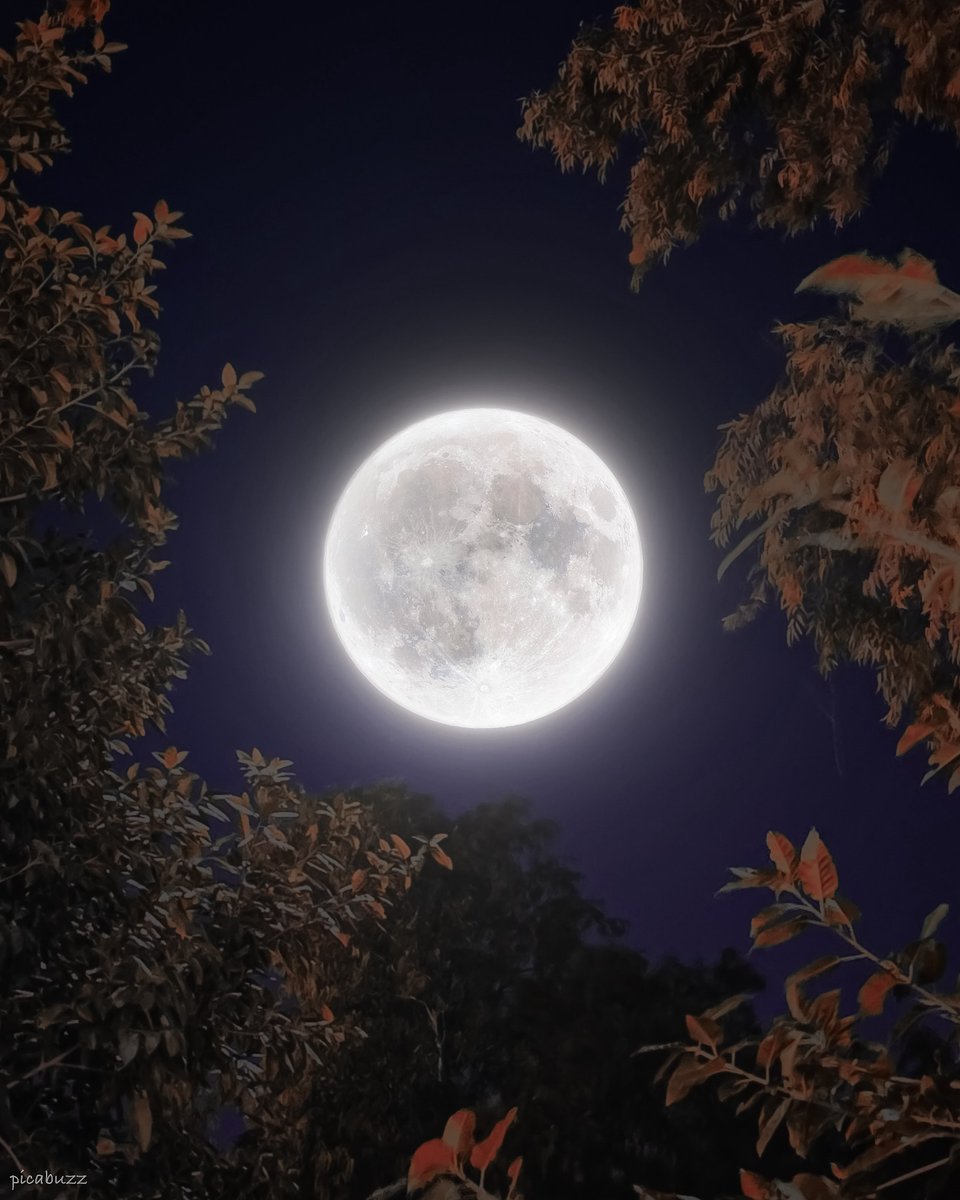 Nature & Human tweet media