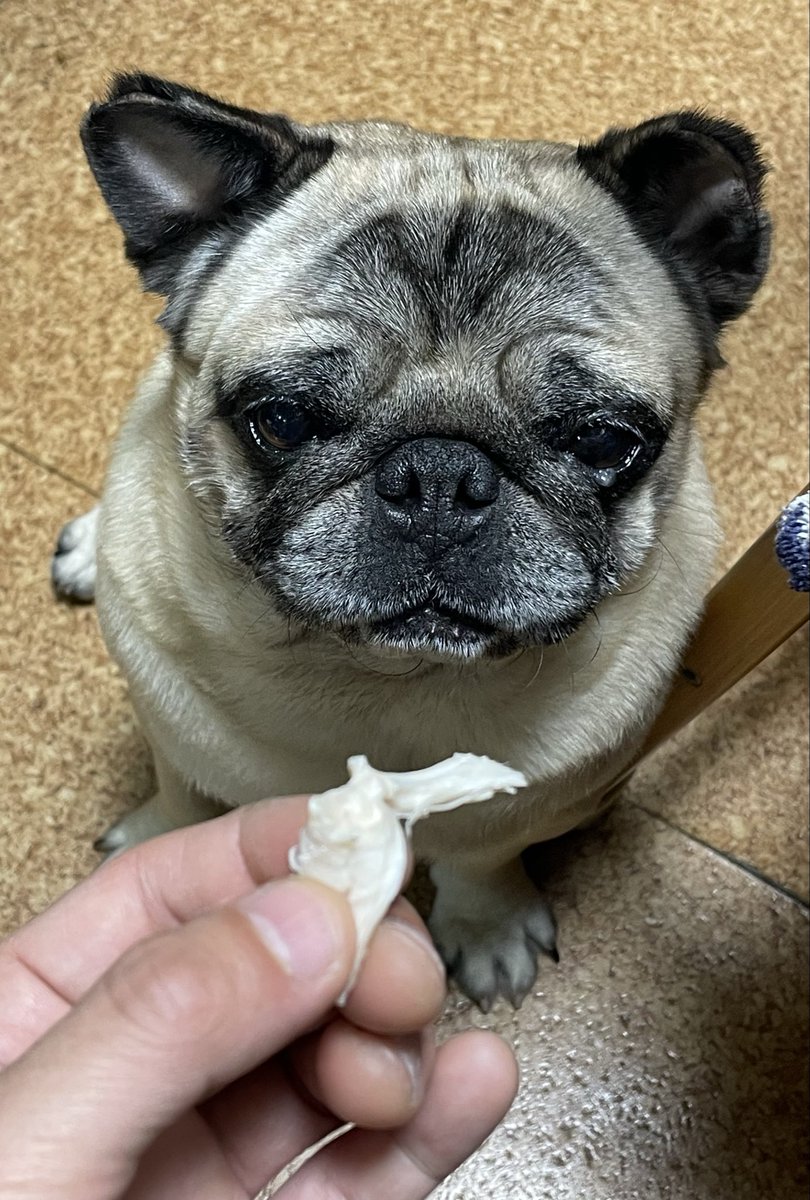 KEN☆○★ tweet media