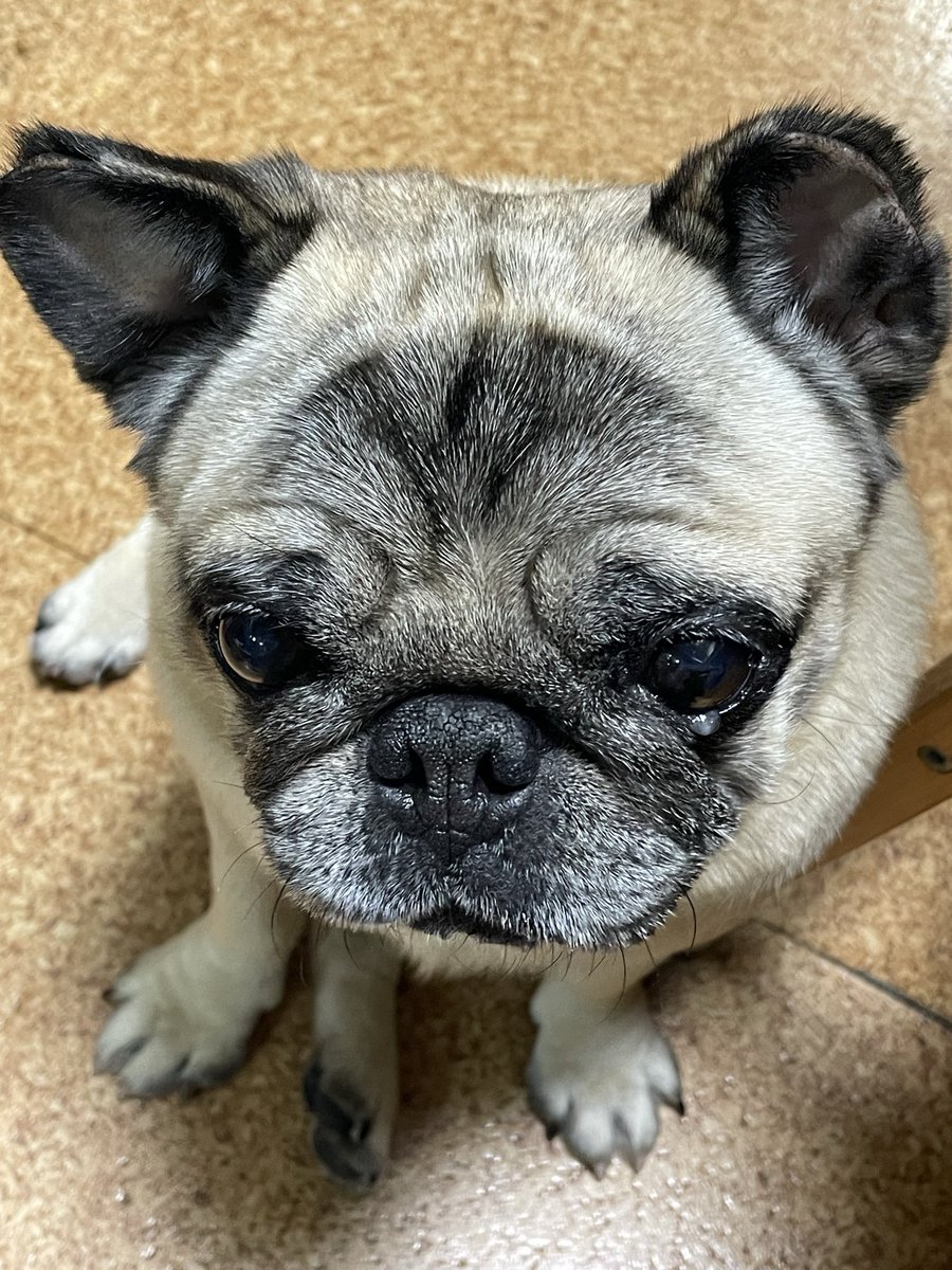 KEN☆○★ tweet media