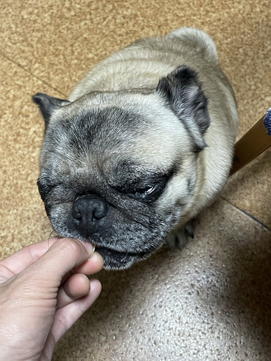 KEN☆○★ tweet media