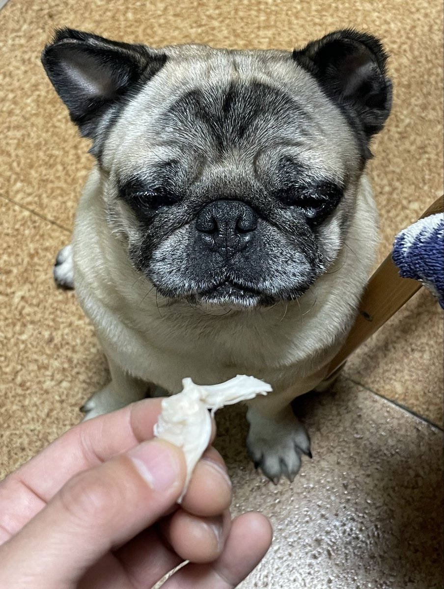 KEN☆○★ tweet media