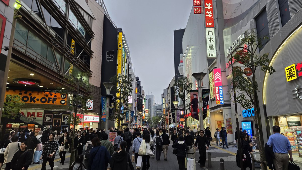 桜屋京八@29SSa! tweet media