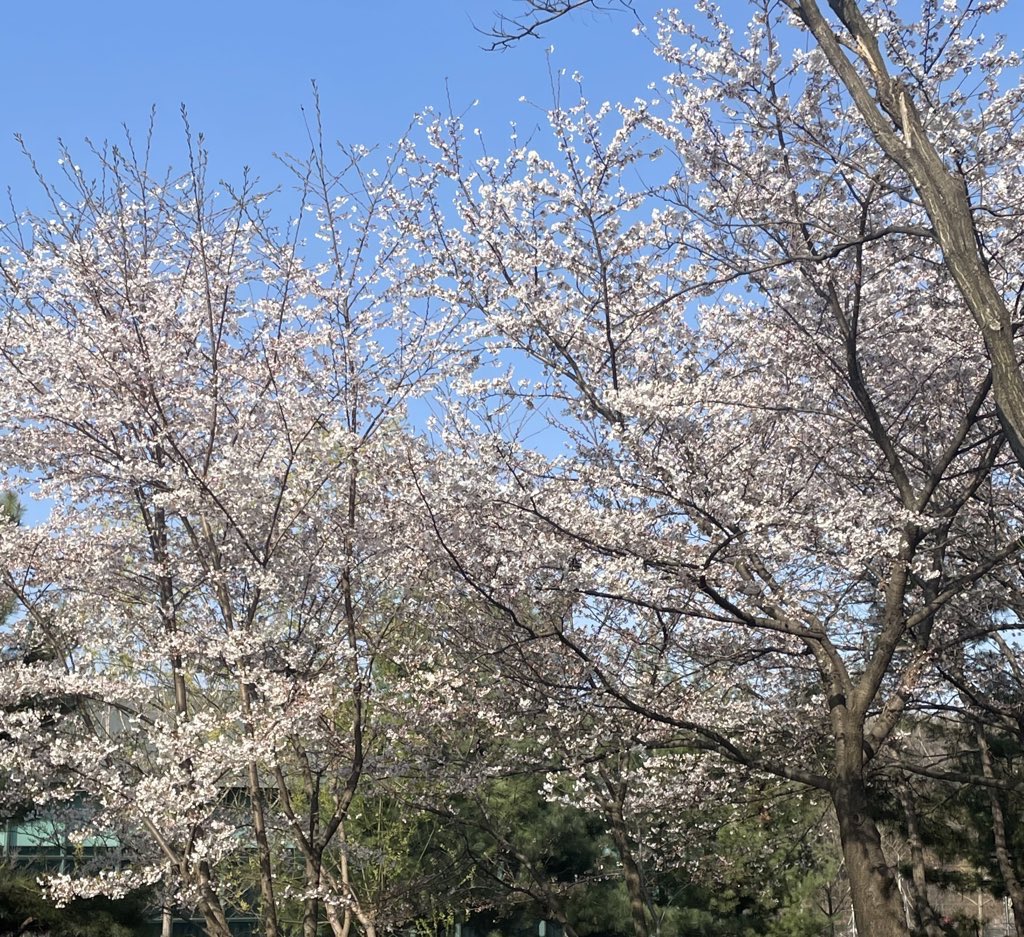 날씨가 너무 좋아💚