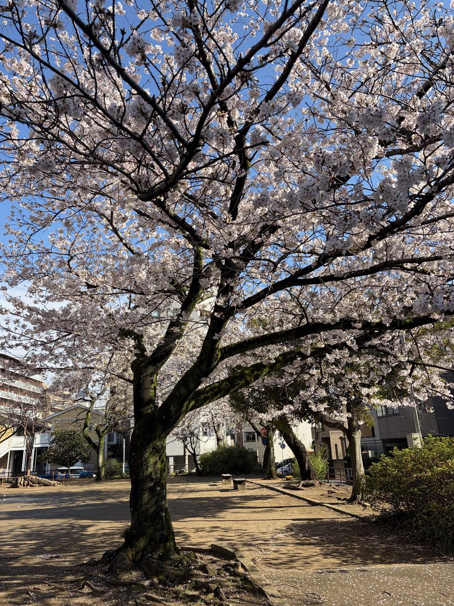 Bar re:frain 西千葉 tweet media