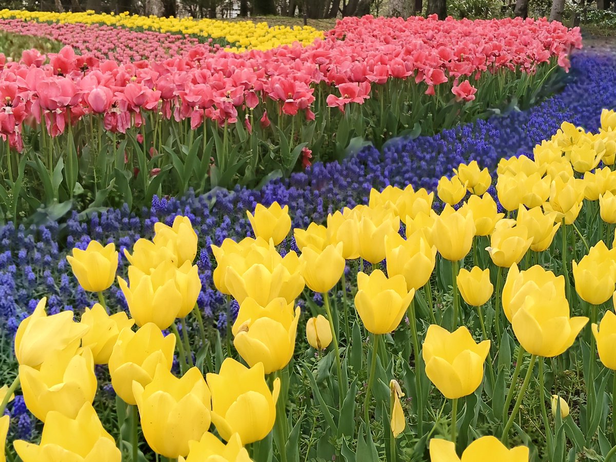 エイトン tweet media