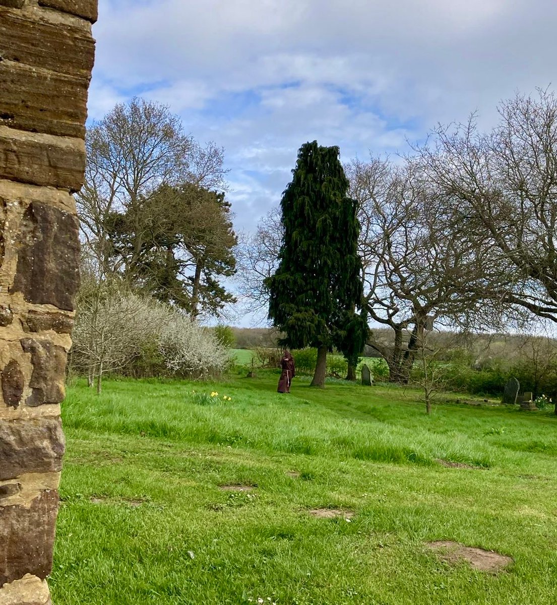 WeirdInTheWade tweet media