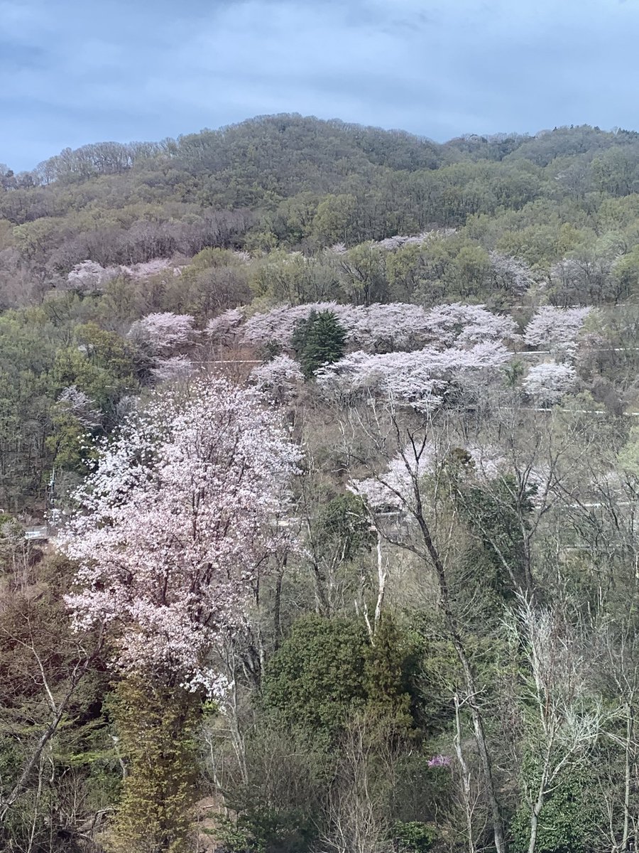 古川フミエイツ tweet media