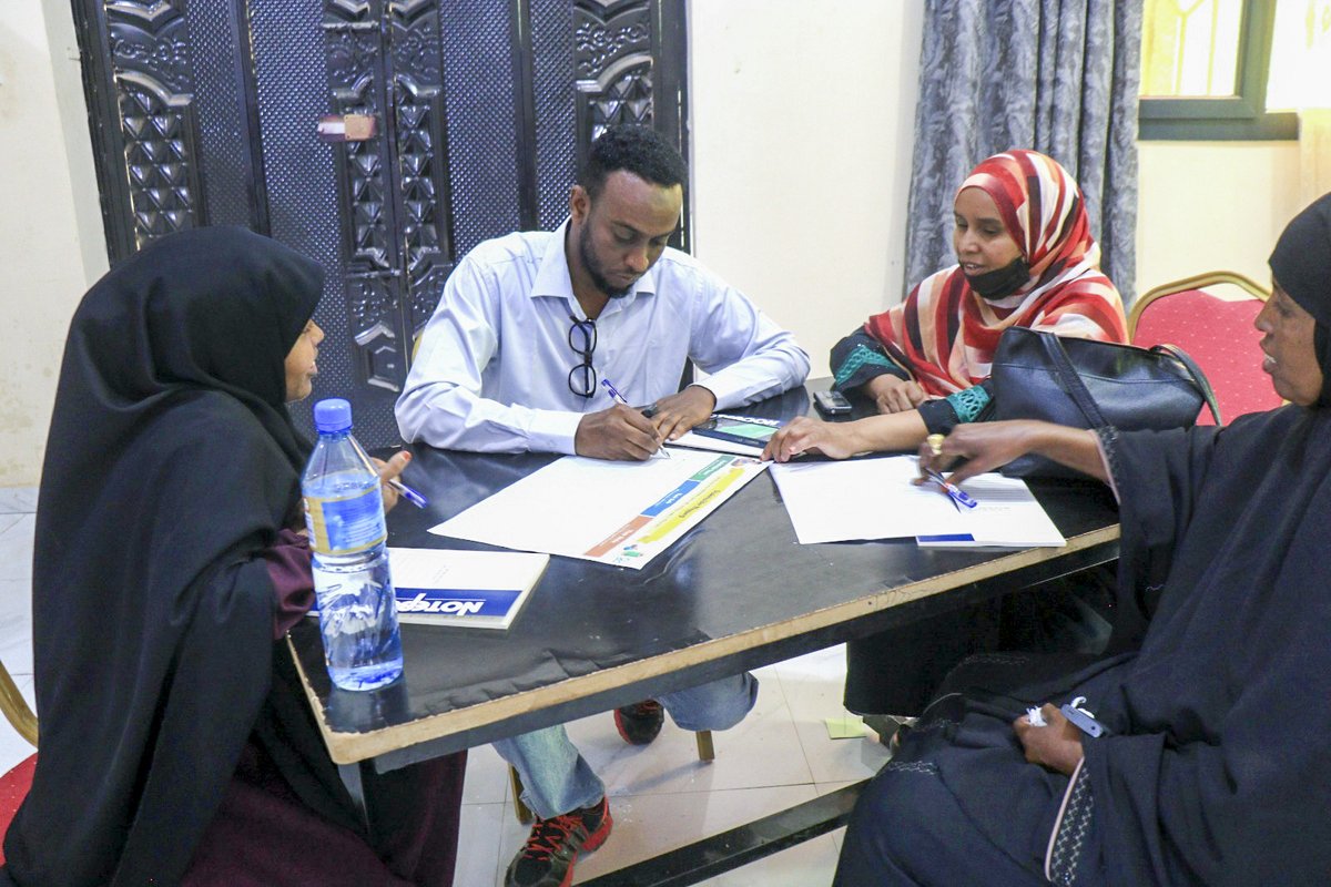 Somaliland Y-PEER tweet media