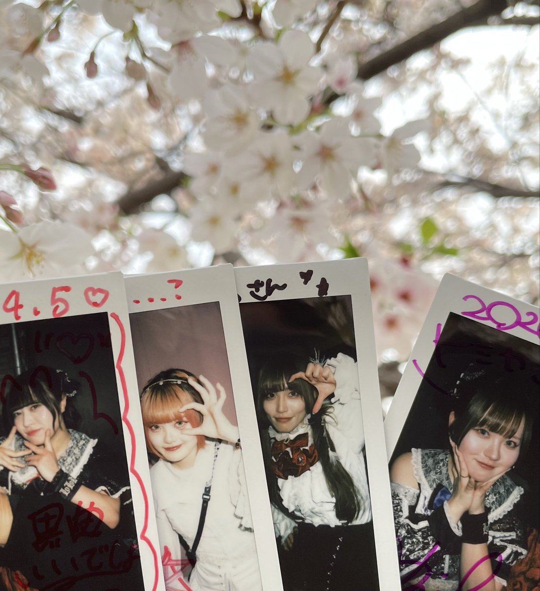 トミカ tweet media