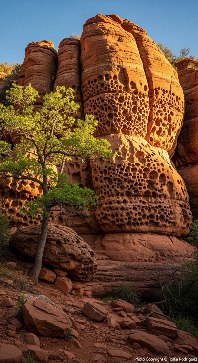 N A T U R E tweet media