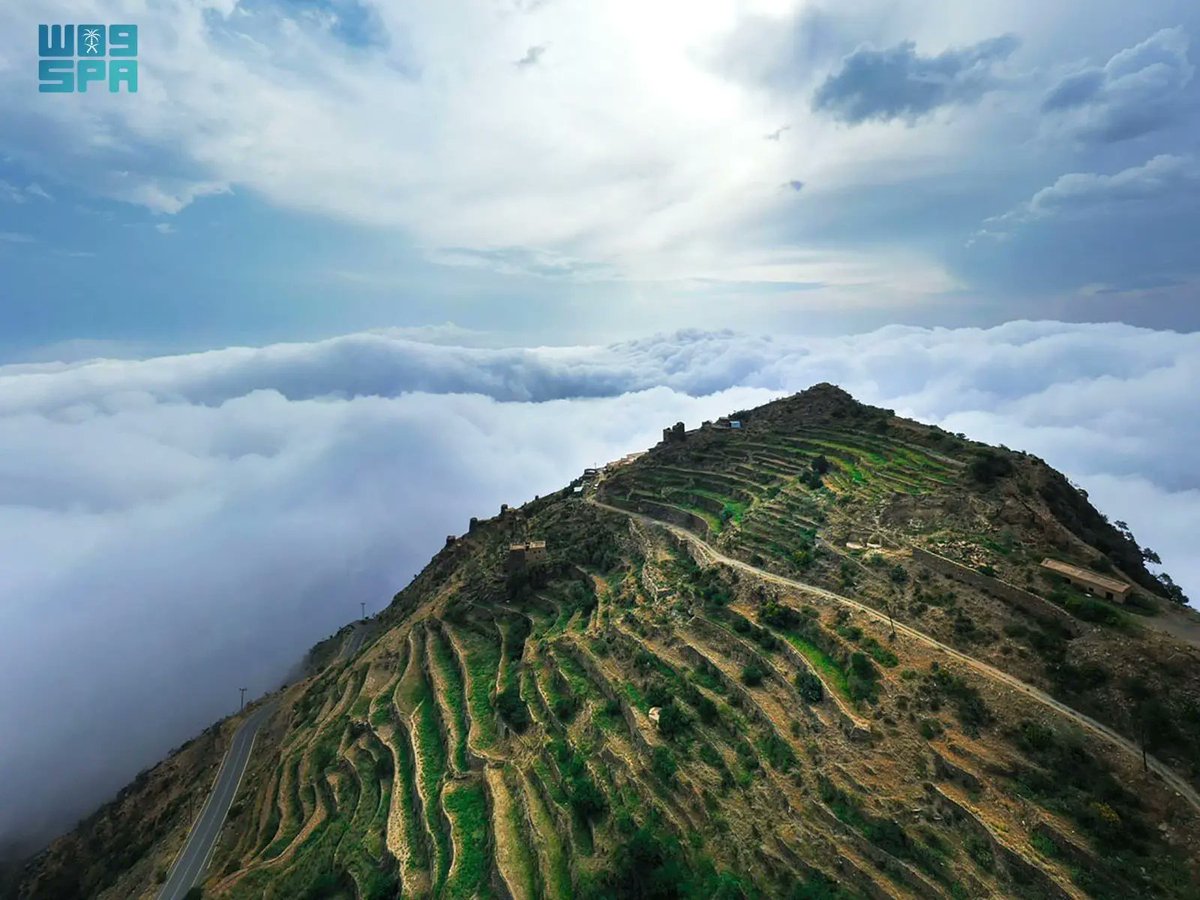 واس جودة الحياة tweet media