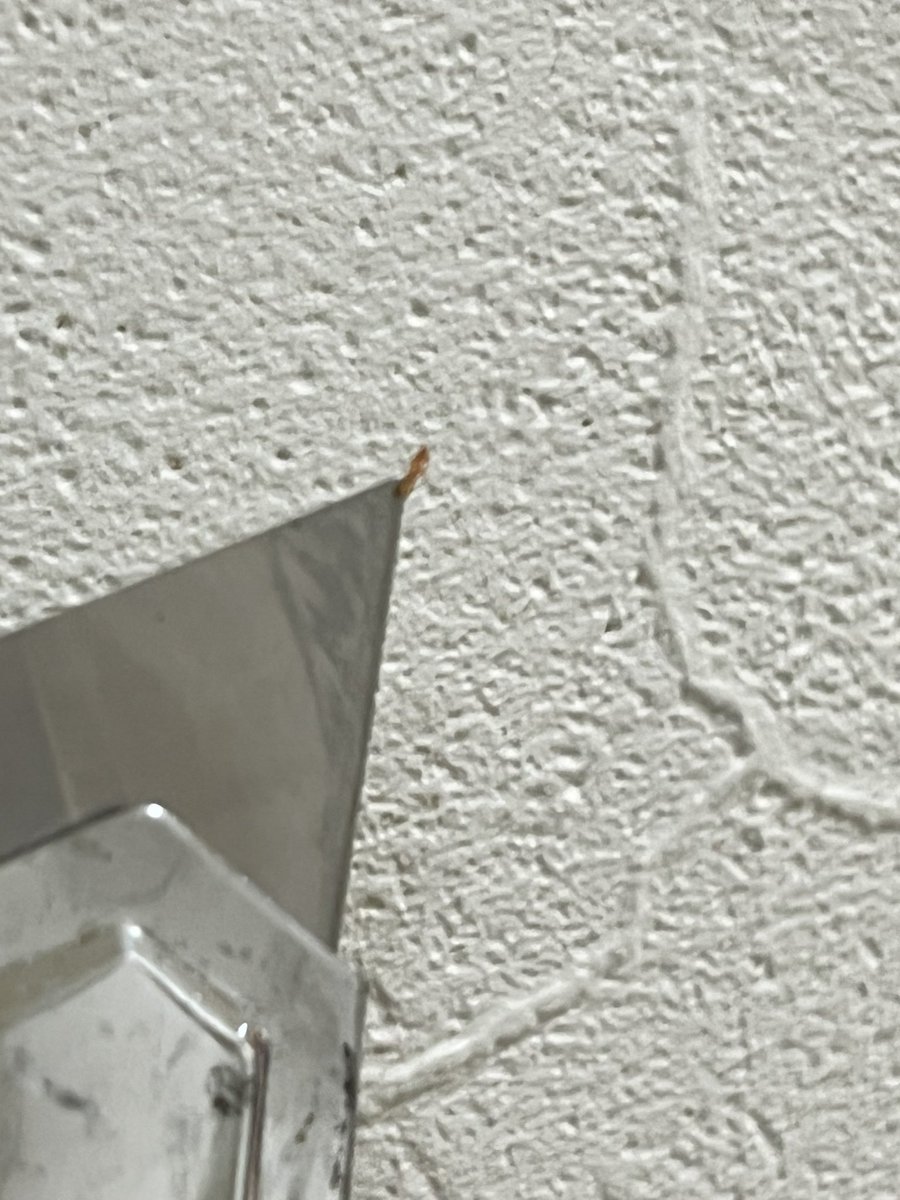 パパっちゴリラ tweet media