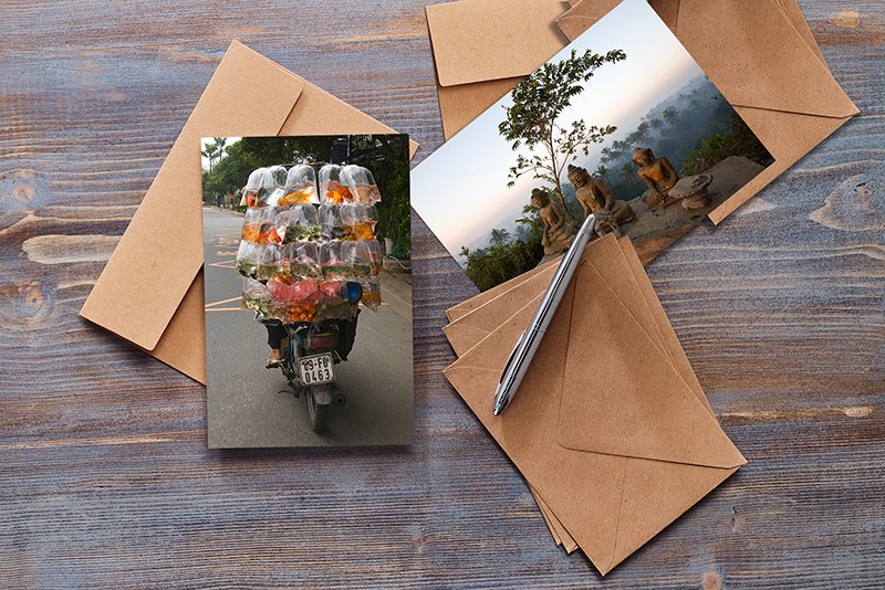 Hans Kemp tweet media