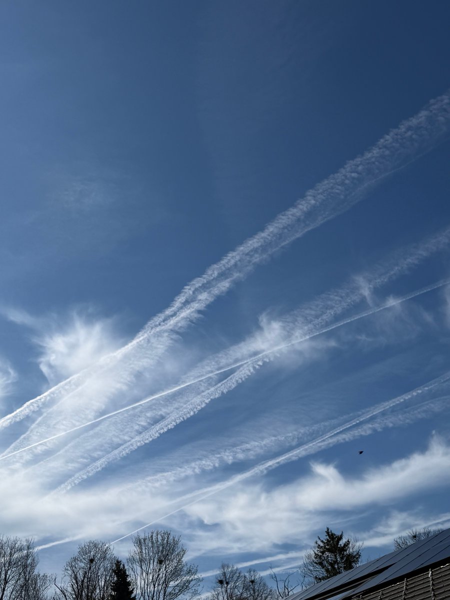 Monika Gruber tweet media