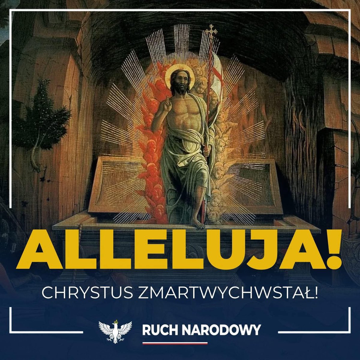 Magdalena Wiśniewska 🇵🇱 tweet media