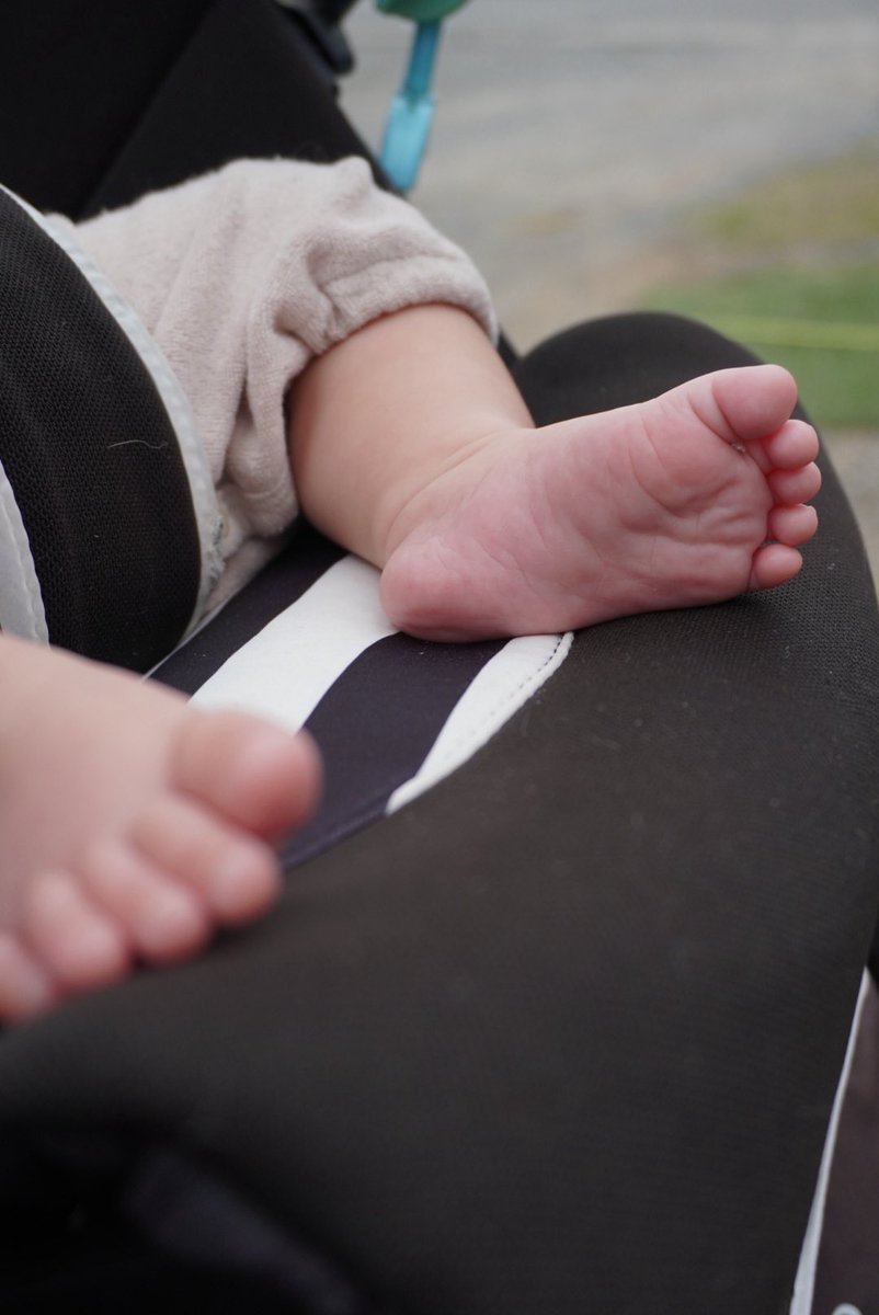 もも🍑 tweet media