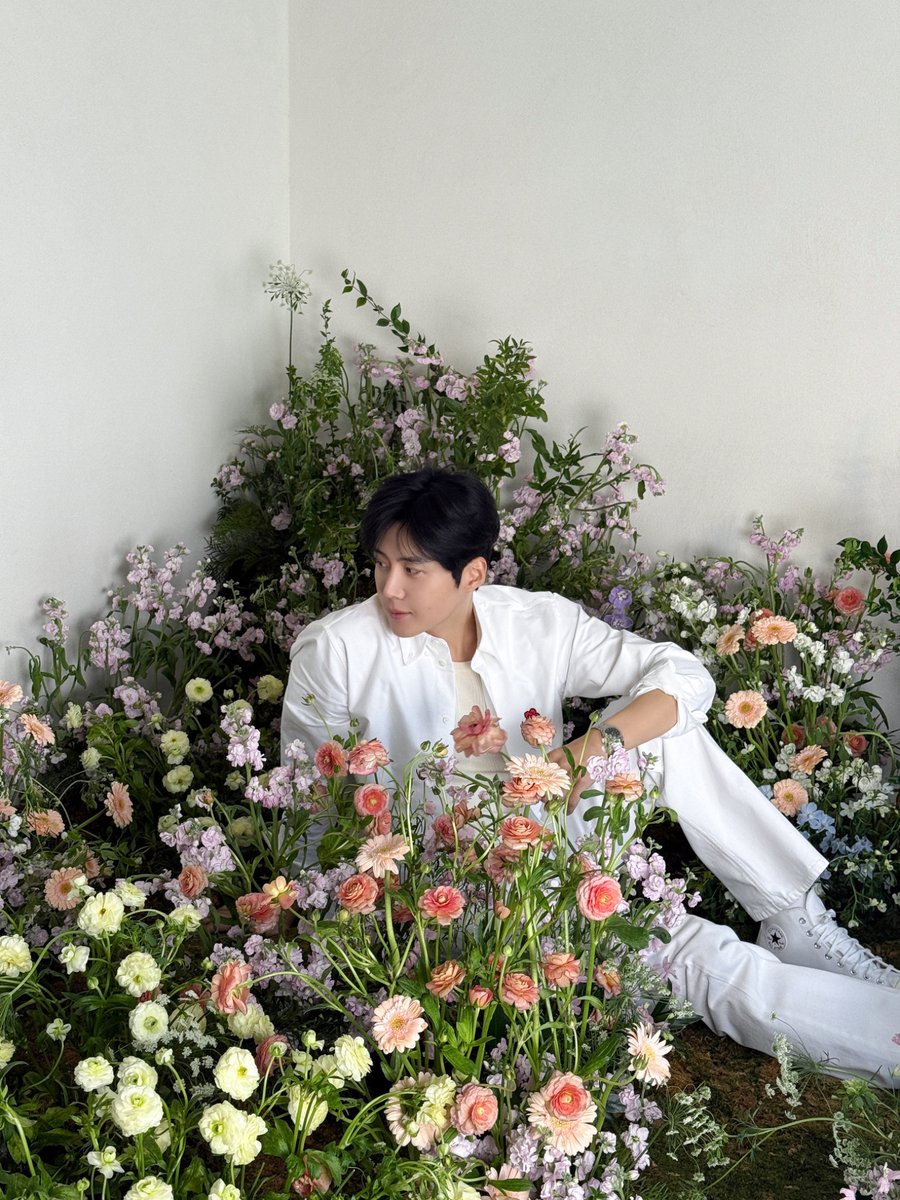 김선호 KIM SEONHO tweet media