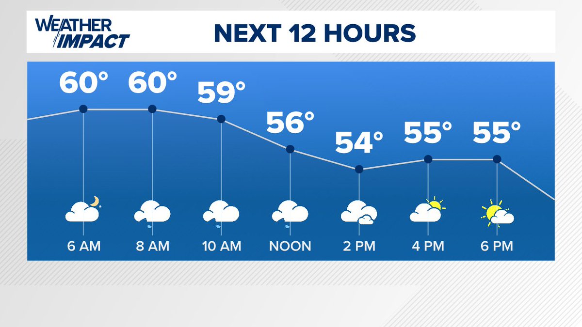 Andrea Michaels tweet media