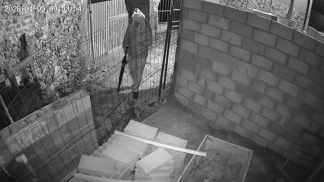 JaviZone 🚀 tweet media