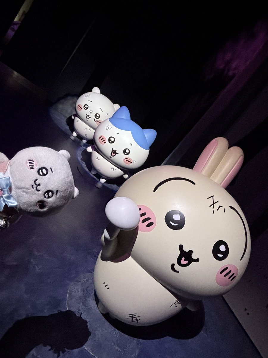 NAO104🙂フッ軽ちい活家(ᵔᴥᵔ) tweet media