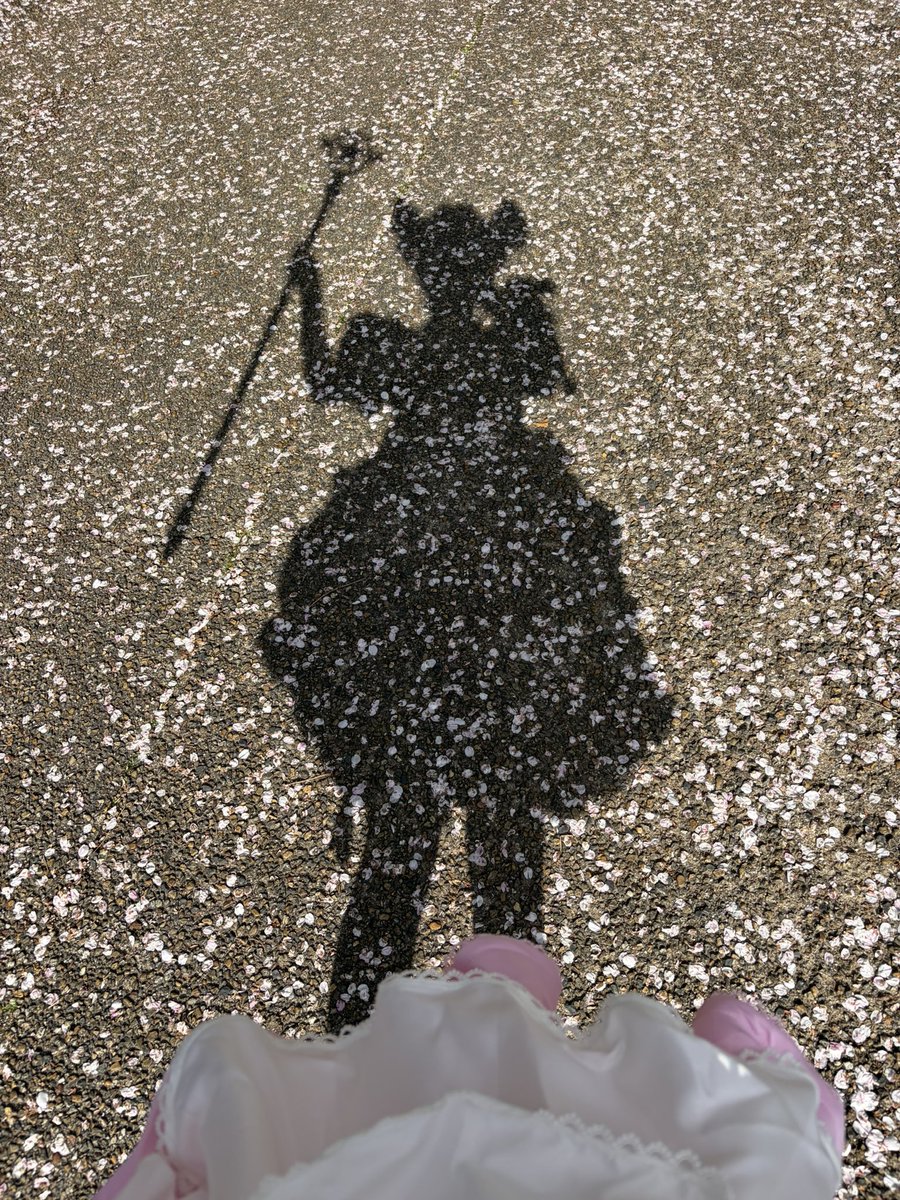 トゥミ tweet media