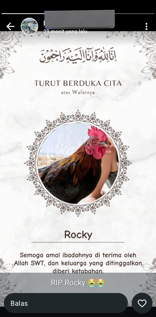 Groo🤖 tweet media