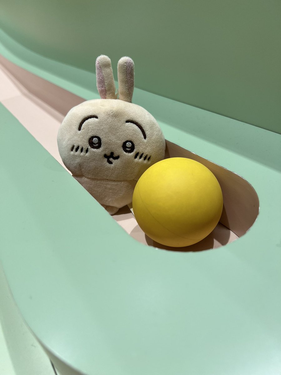 けいすけᕱᕱ(うさぎ組) tweet media