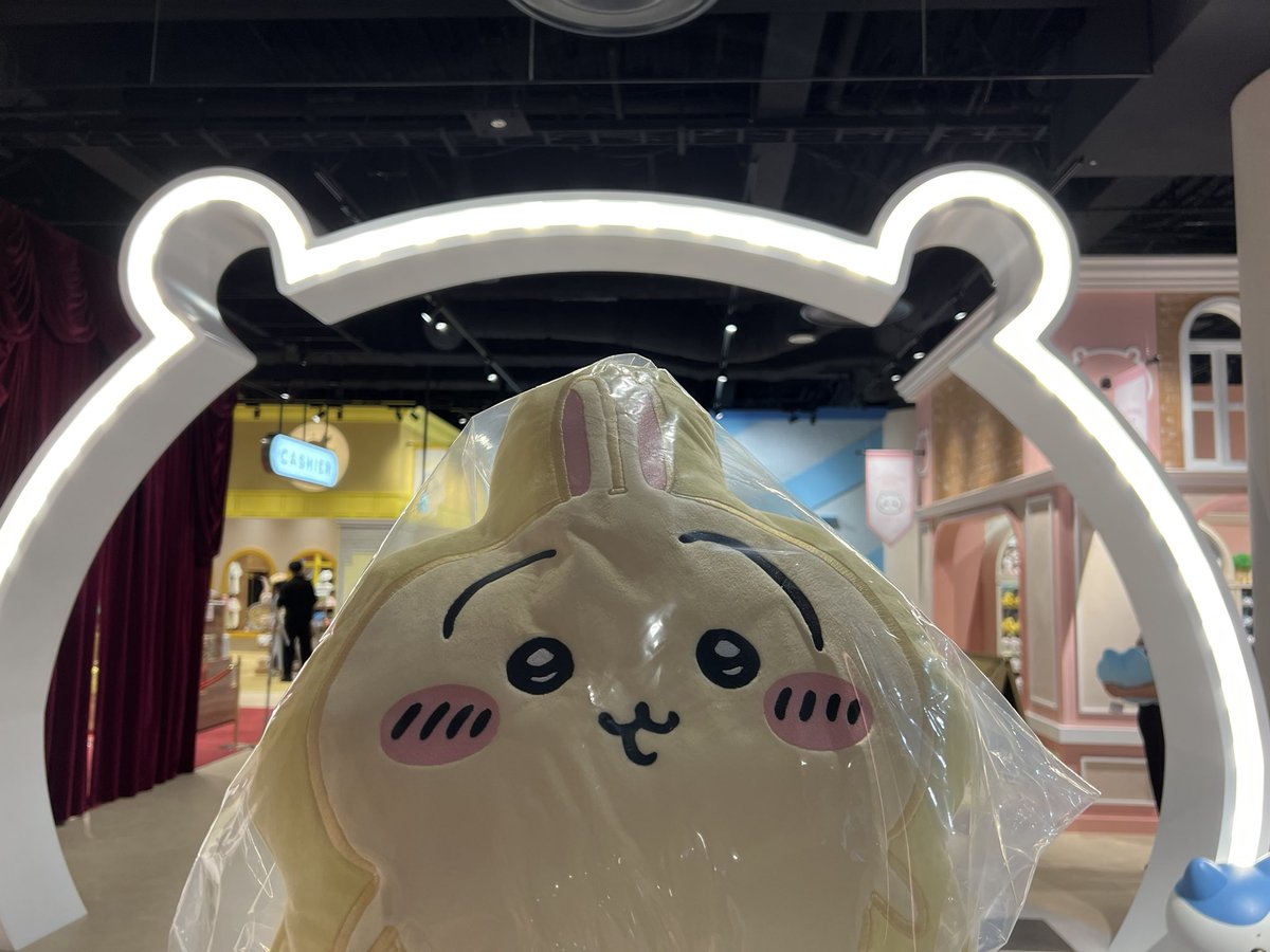 けいすけᕱᕱ(うさぎ組) tweet media