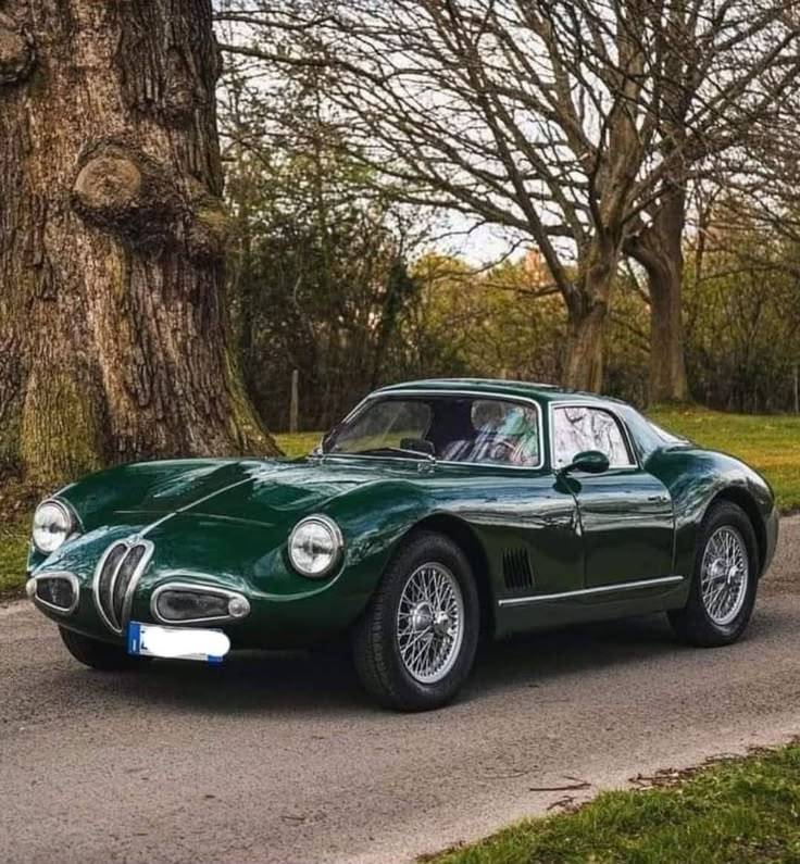 ✅⬜🟥 1965 #AlfaRomeo 1900 ATL Sport Coupe🍀