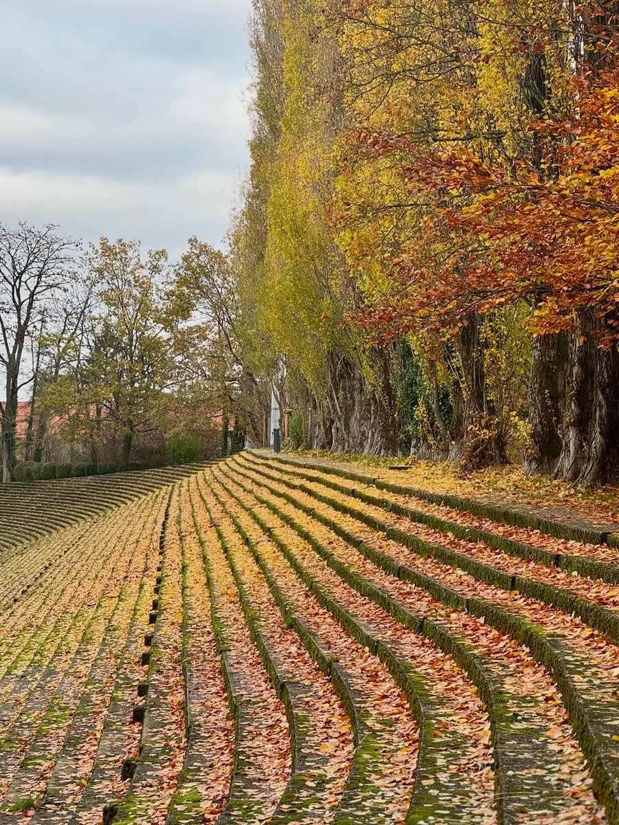 Killian Bertrand tweet media