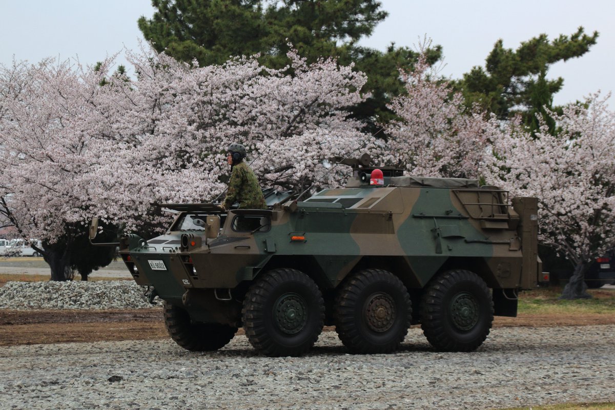 しらかげ tweet media