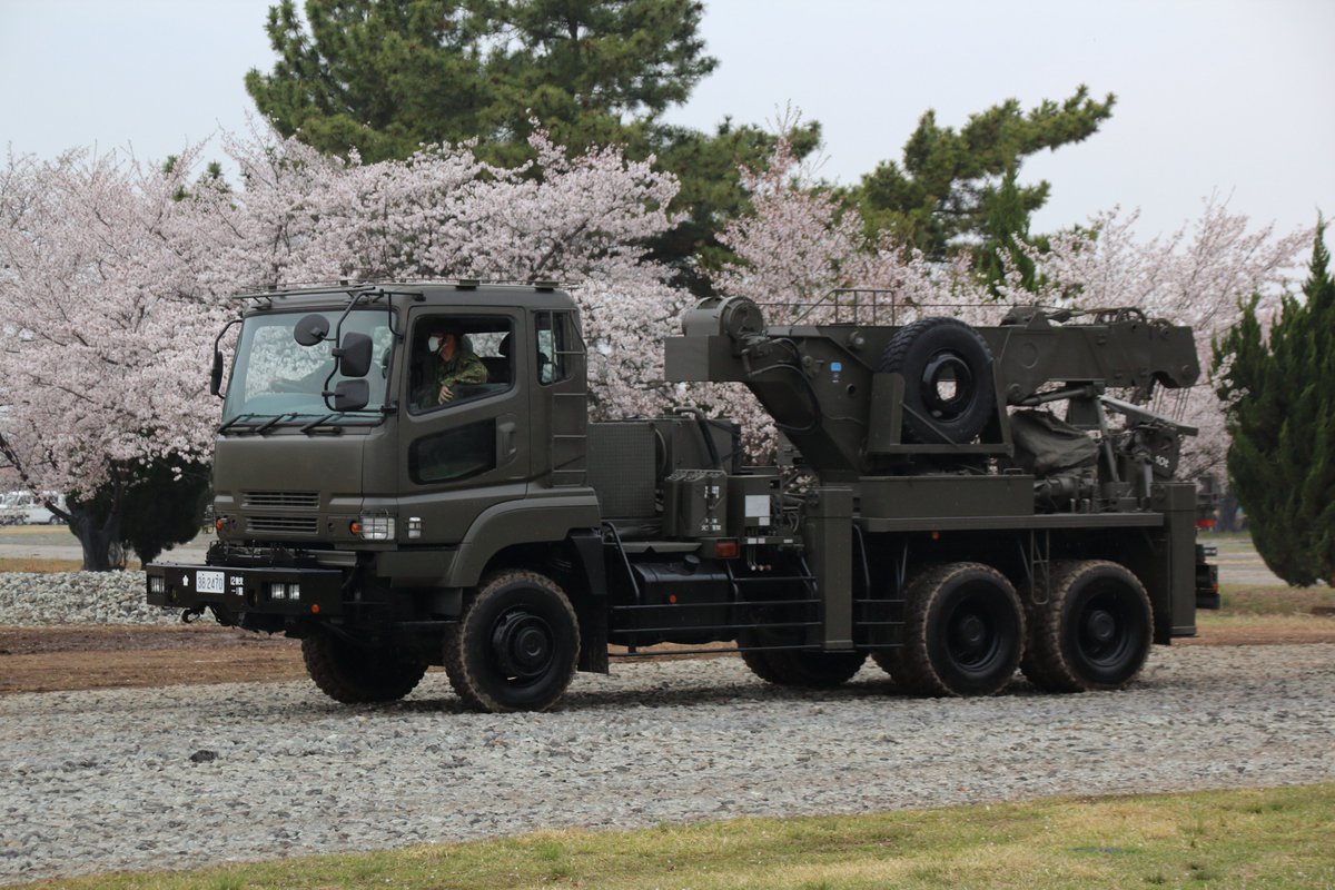 しらかげ tweet media