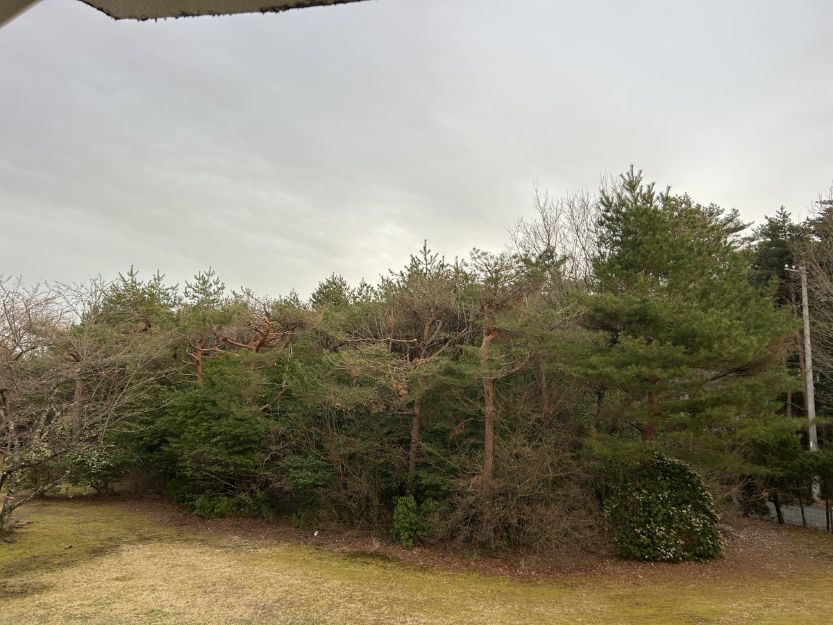 ぐんじ_362 tweet media